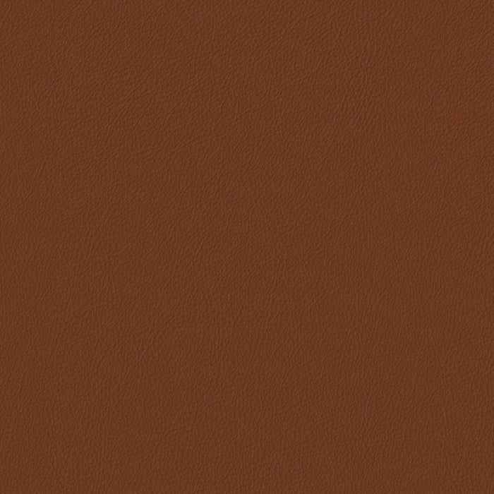 Pela - Clove - 4024 - 01 - Half Yard