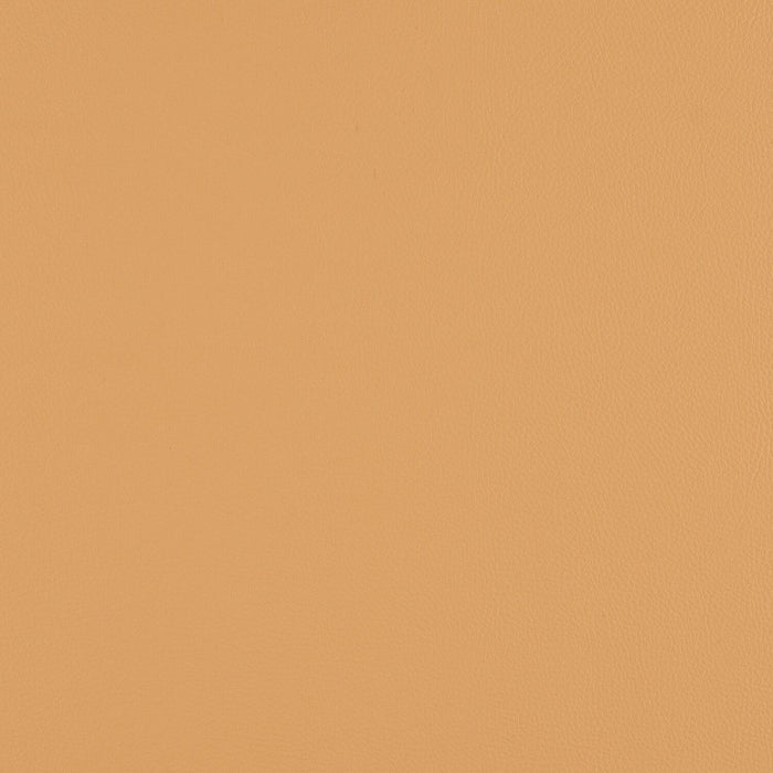 Top Coat - Toast - 4083 - 10 - Half Yard