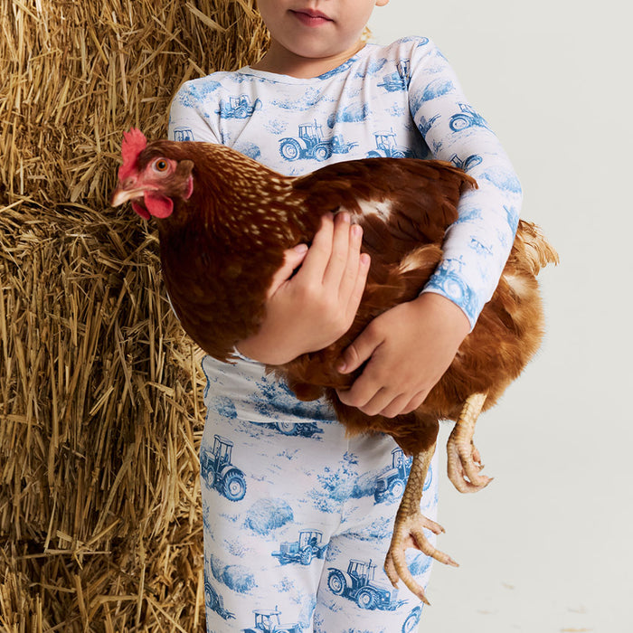 Child holding a brown chicken next to a bale of hay