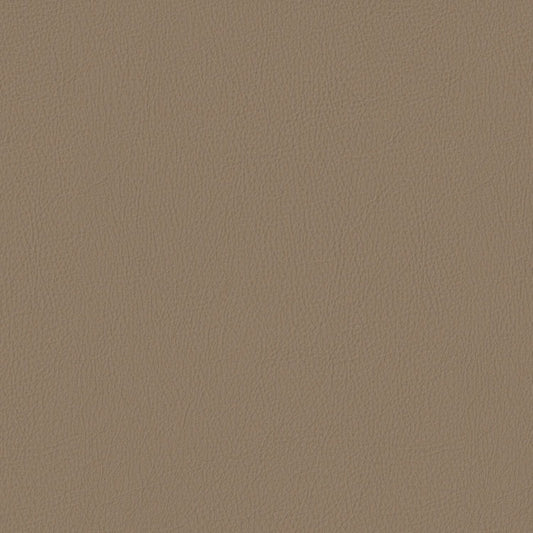 Pela - Buckwheat - 4024 - 05 - Half Yard