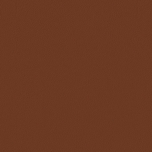 Pela - Clove - 4024 - 01 - Half Yard