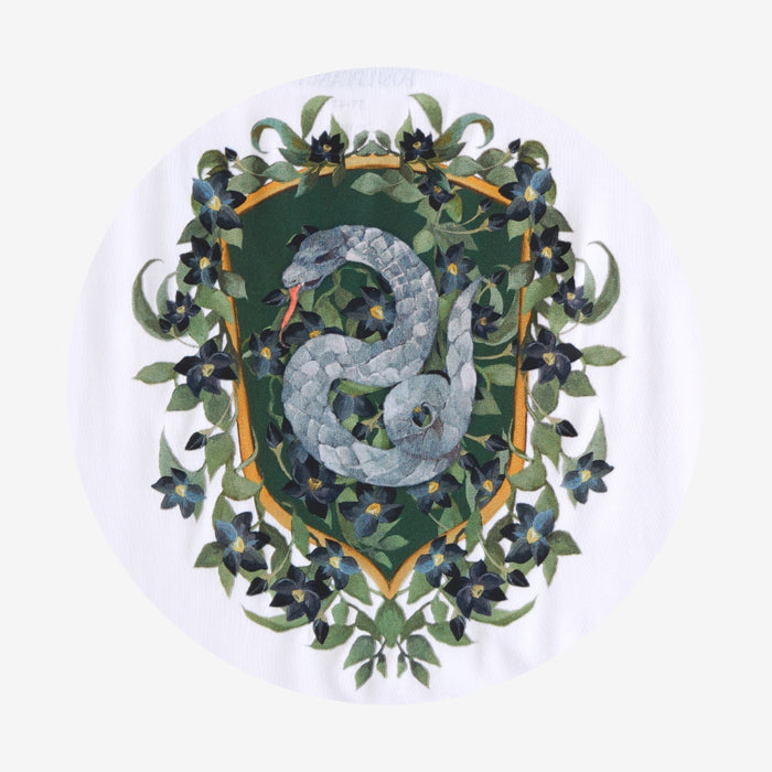 Team Slytherin Women's Varsity Tee