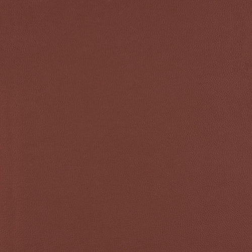 Top Coat - Braze - 4083 - 06 - Half Yard
