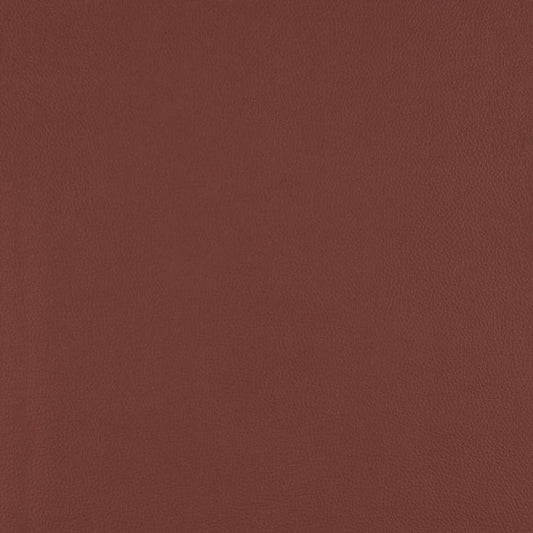 Top Coat - Braze - 4083 - 06 - Half Yard