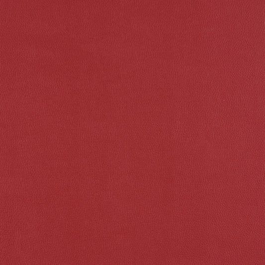 Top Coat - Conduct - 4083 - 07 - Half Yard