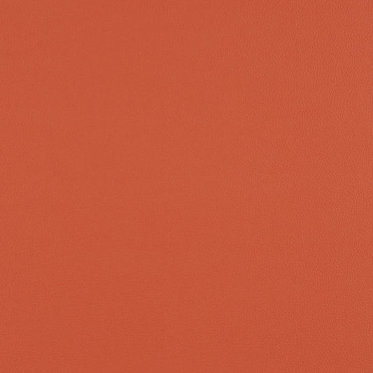 Top Coat - Heat Set - 4083 - 08