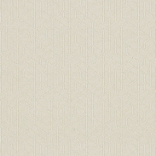 Topology - Ceramic - 1011 - 01 - Half Yard