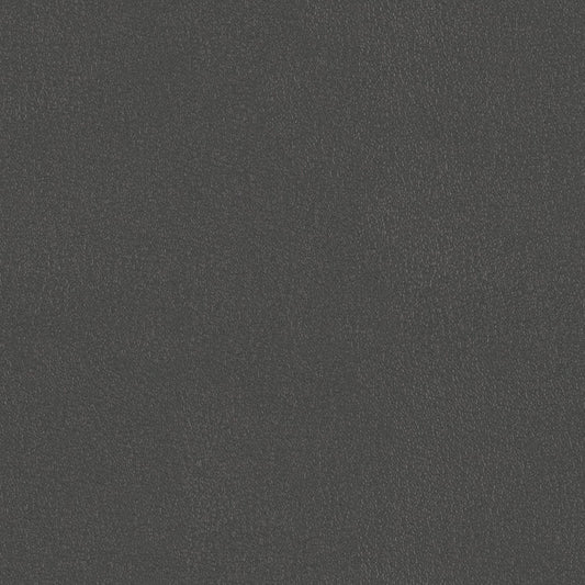 Ultra Durable - Tungsten - 4021 - 12 - Half Yard