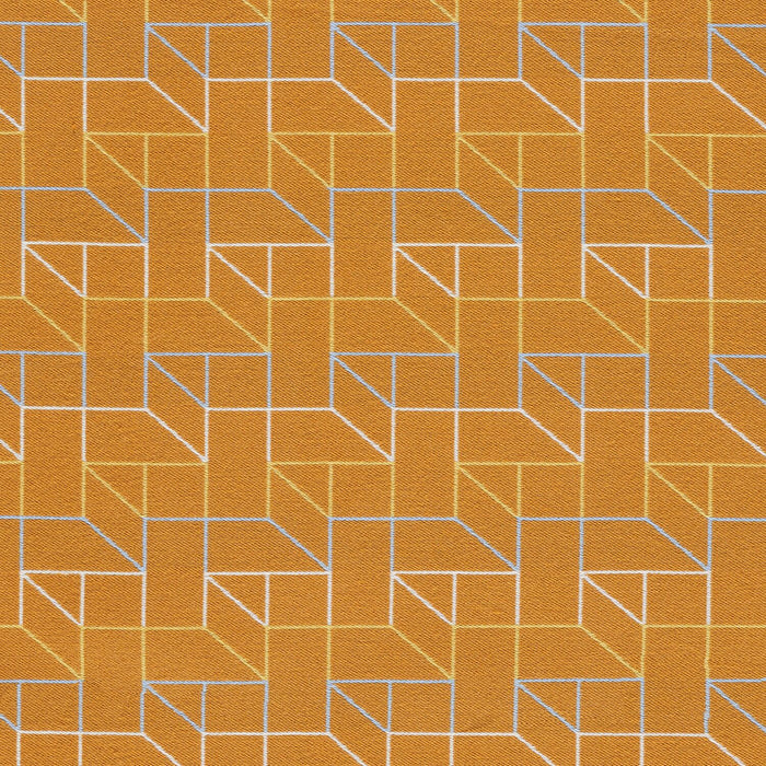 Vector - Radial - 4082 - 06 - Half Yard